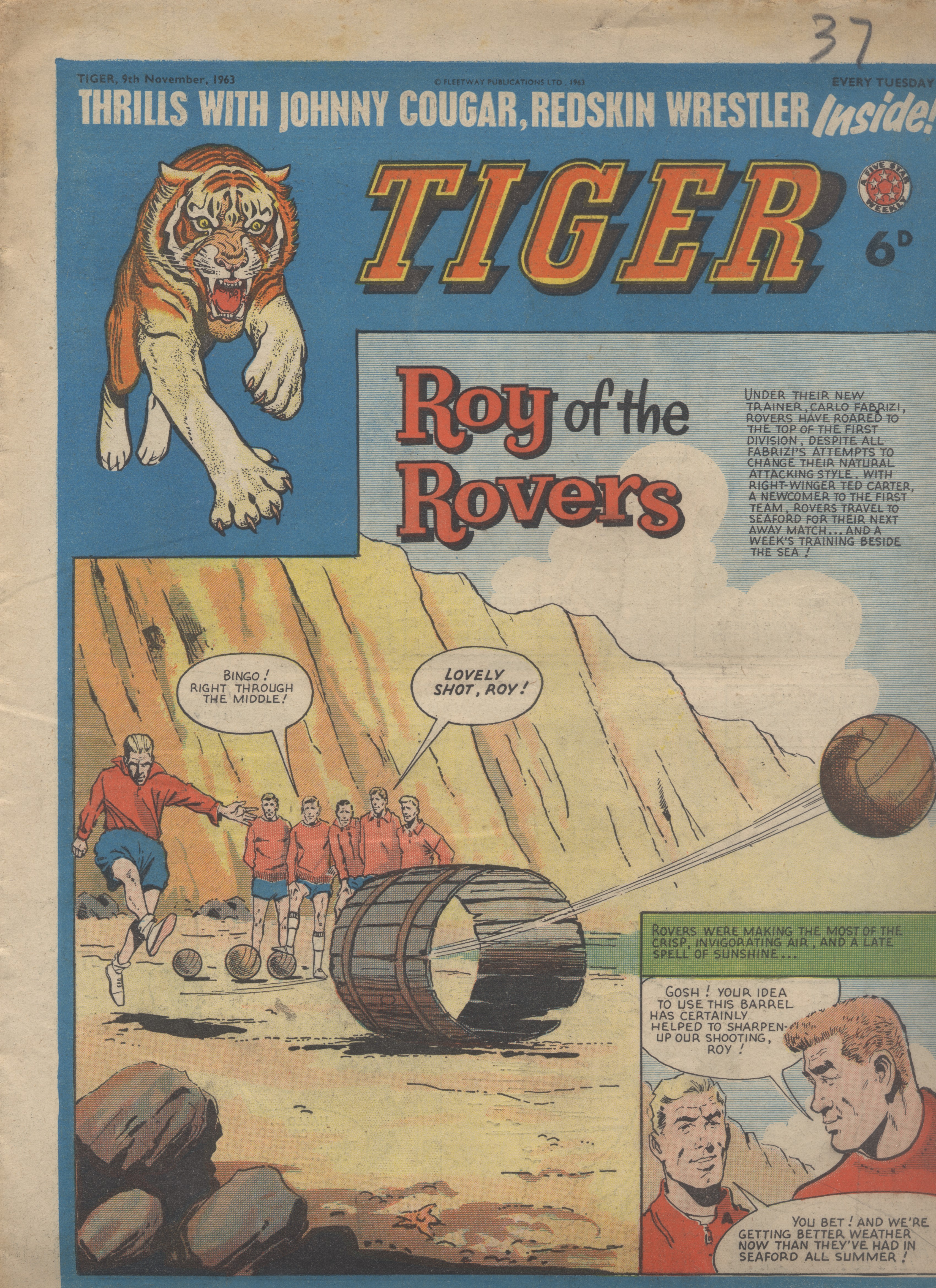 Tiger